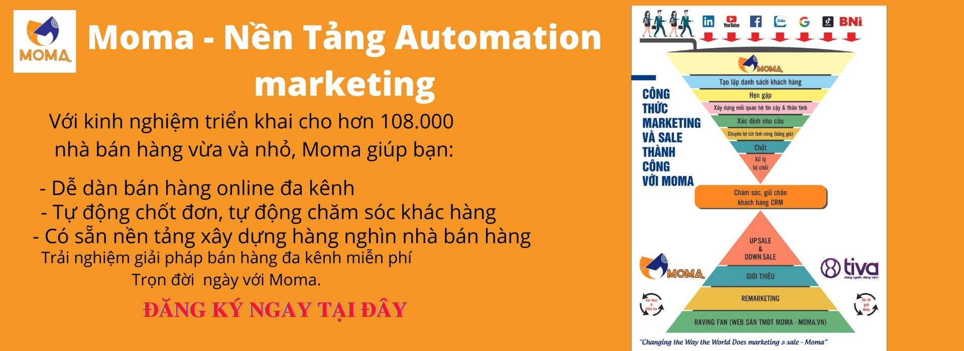 Nền tảng web marketing du kích moma